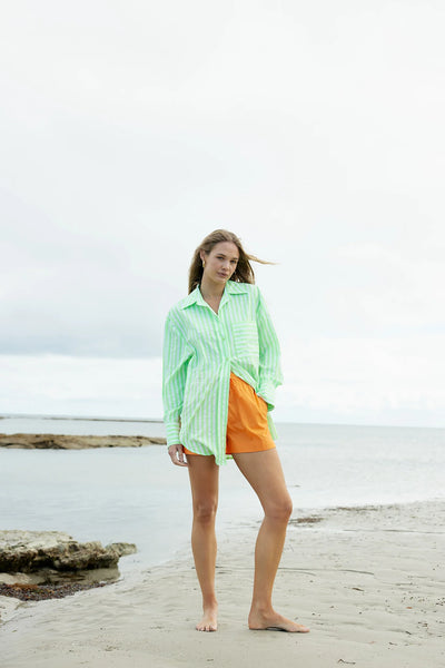 THE BUDDY SHIRT IN LIME STRIPE