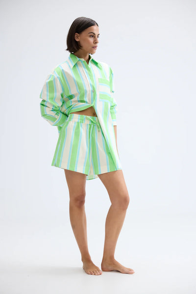 BUDDY SHIRT FERN LAPIS STRIPE