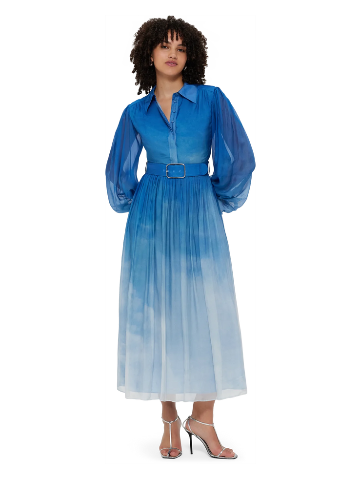 Cassie Tie Neck Midi Dress - Aerial Print