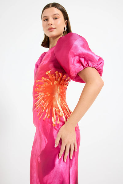 Thea Sleeve Midi : Pink Camellia