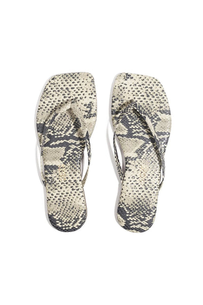 Square Toe Exotics Sandsnake