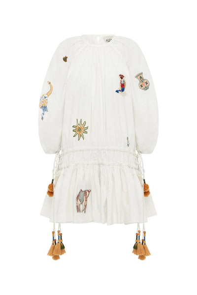 Carmine Embroidered Mini Dress