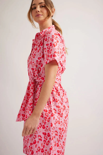 ODYSSEY POPLIN DRESS IN LOLLY KIMBA