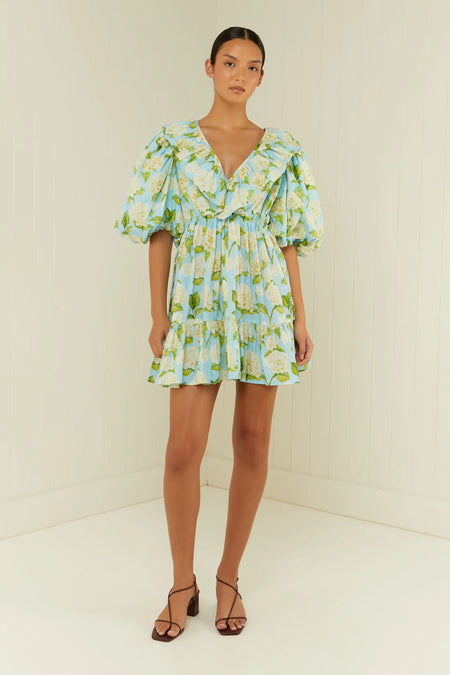PREORDER- ROLLERS SHIRTDRESS