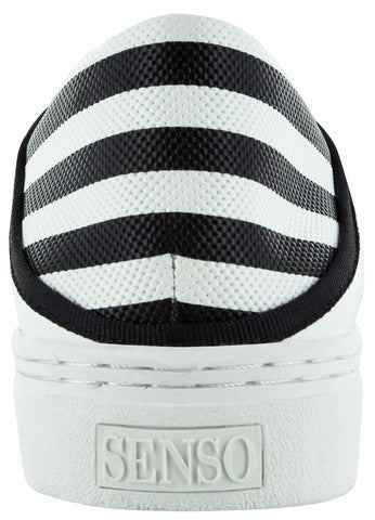 Avery II- Ebony Stripped Kid