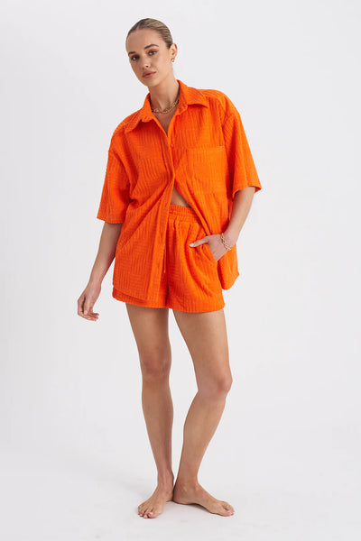 BOBBY SHIRT - NECTAR TERRY