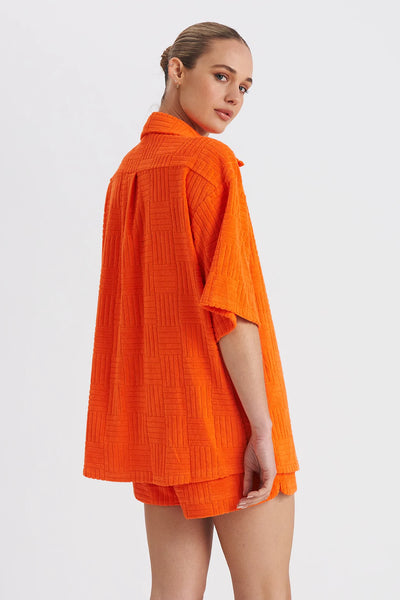 BOBBY SHIRT - NECTAR TERRY