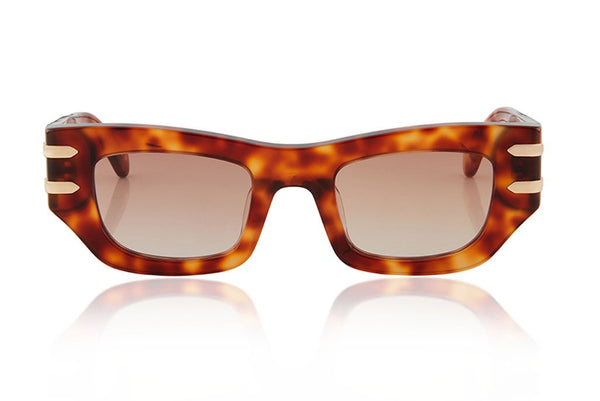 Made In Japan/ Havana Tort