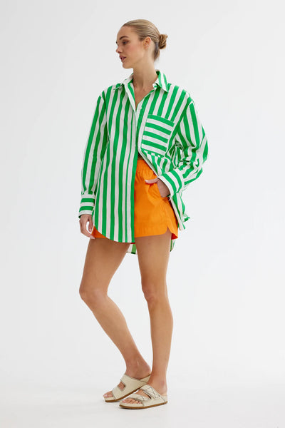 Buddy Shirt Mantis Stripe