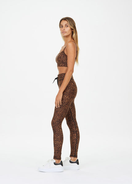 Tortoise Natacha Bra