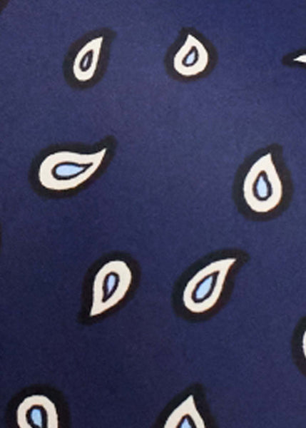 Ditsy Paisley Nina Bra