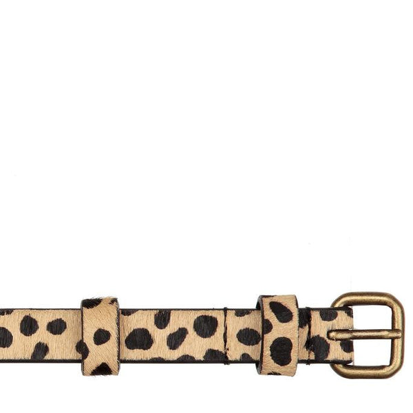 Never Never Belt- Cheetah