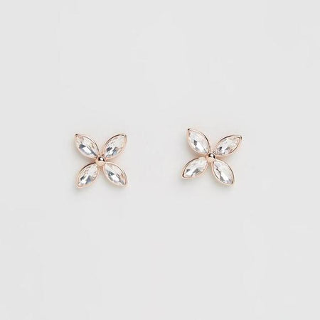 Toucan Earrings- Pink