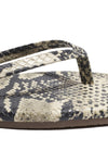 Square Toe Exotics Sandsnake