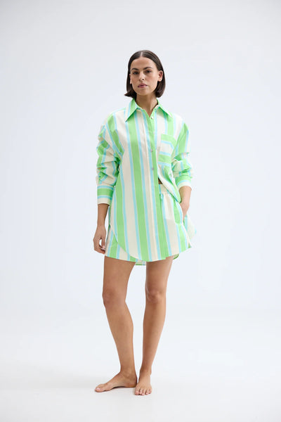 BUDDY SHIRT FERN LAPIS STRIPE