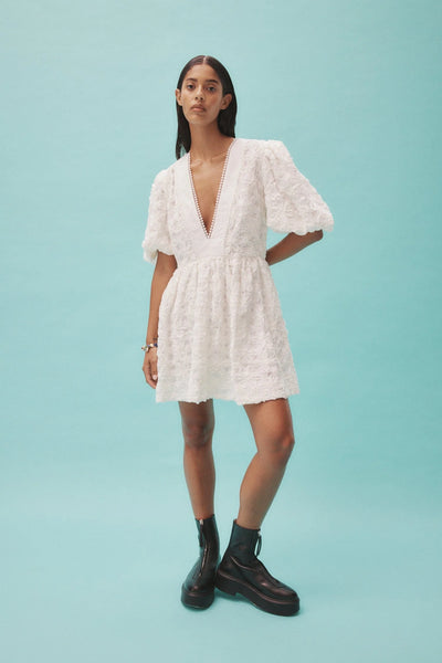 IGGY EMBROIDERED MINI DRESS