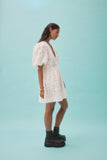 IGGY EMBROIDERED MINI DRESS