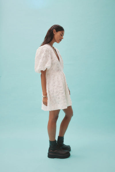 IGGY EMBROIDERED MINI DRESS