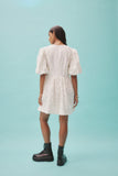 IGGY EMBROIDERED MINI DRESS