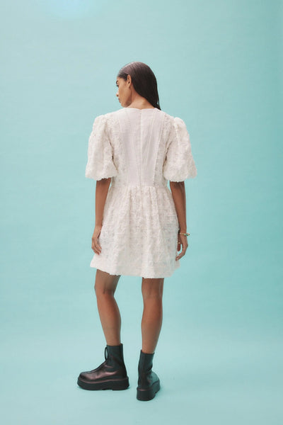 IGGY EMBROIDERED MINI DRESS