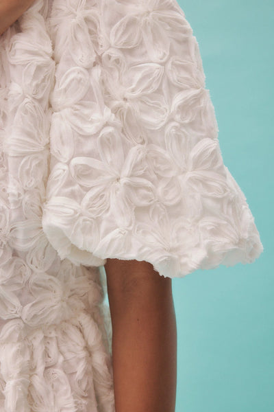 IGGY EMBROIDERED MINI DRESS