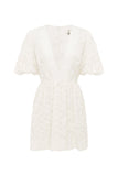 IGGY EMBROIDERED MINI DRESS