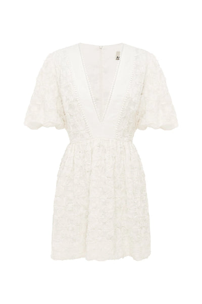 IGGY EMBROIDERED MINI DRESS