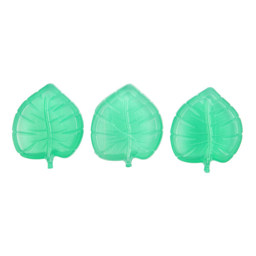 Ice Coolers- Monstera Leaf