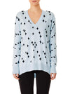 Sparkle V-Neck Sweater- Frost/ Black