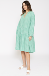 Amelia Linen Dress In Spearmint Gingham