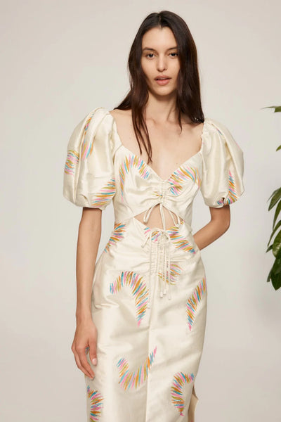 Emery Embroidered Midi Dress