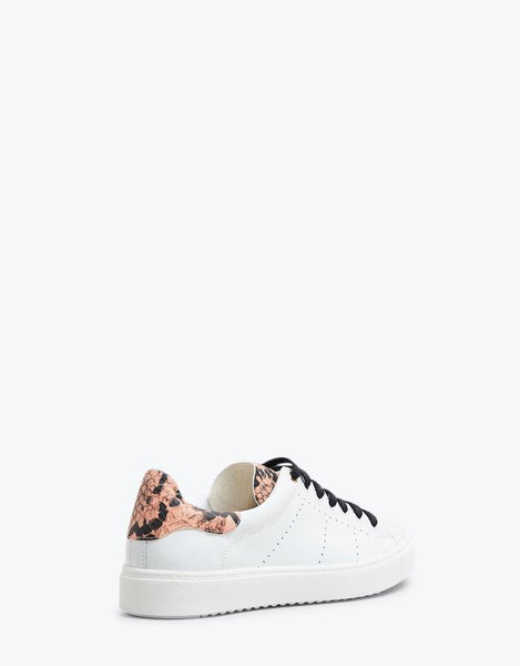 Tommy Sneakers- White/Pink Snake